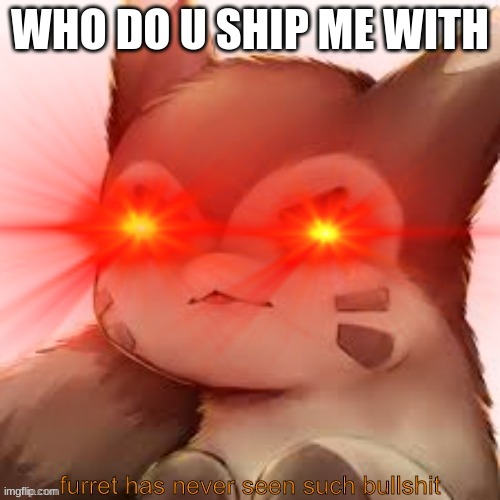 asdfghjkl; | WHO DO U SHIP ME WITH | image tagged in furret has never seen such bullshit | made w/ Imgflip meme maker