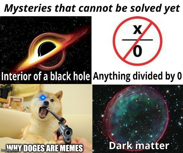 what | WHY DOGES ARE MEMES | image tagged in 201 | made w/ Imgflip meme maker