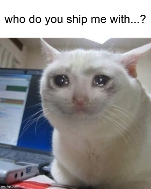 ig since im staying i might as well do something | who do you ship me with...? | image tagged in crying cat | made w/ Imgflip meme maker