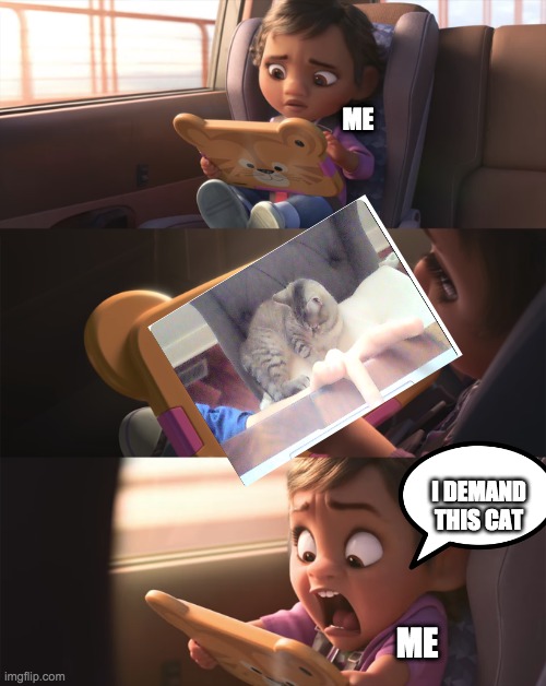 Wreck it ralph shock | ME; I DEMAND THIS CAT; ME | image tagged in wreck it ralph shock | made w/ Imgflip meme maker