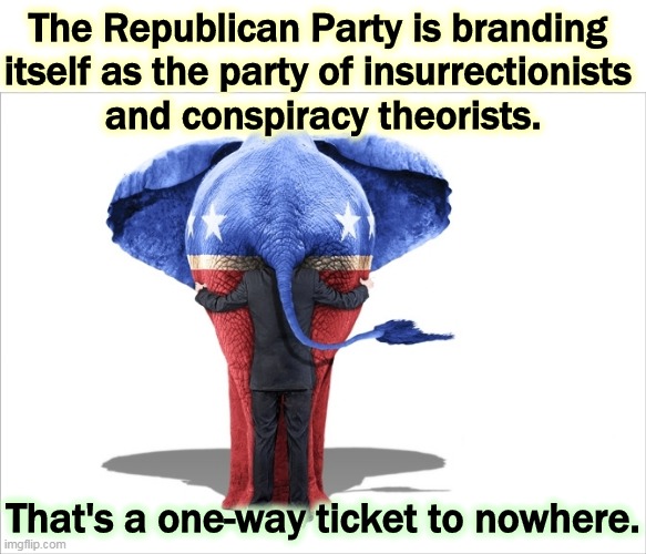 The nutball fringe is just a fringe. Fringes don't win, no matter how nasty their memes get. | The Republican Party is branding 
itself as the party of insurrectionists 
and conspiracy theorists. That's a one-way ticket to nowhere. | image tagged in republican elephant with politician and voter,gop,republican party,violent,crazy | made w/ Imgflip meme maker