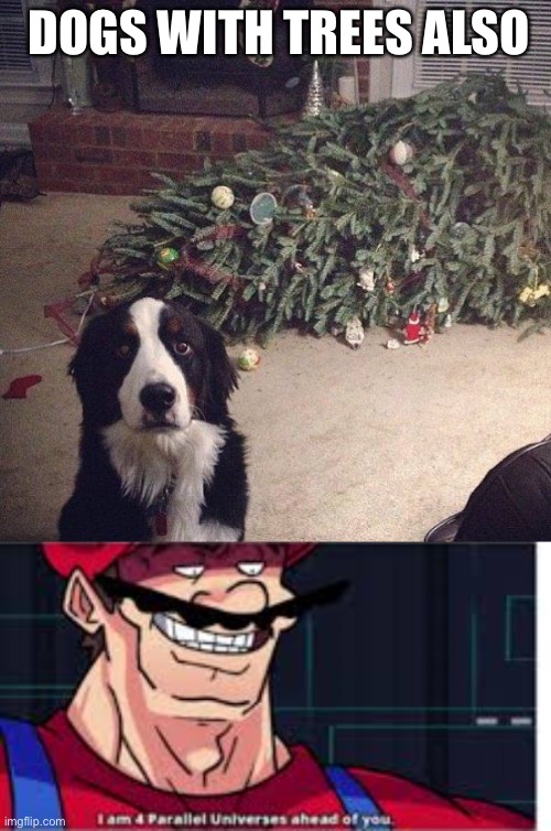DOGS WITH TREES ALSO | image tagged in dog christmas tree,4 parralel universes | made w/ Imgflip meme maker