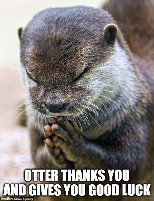 Thank you Lord Otter | OTTER THANKS YOU AND GIVES YOU GOOD LUCK | image tagged in thank you lord otter | made w/ Imgflip meme maker