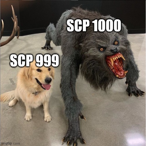 dog vs werewolf | SCP 1000; SCP 999 | image tagged in dog vs werewolf | made w/ Imgflip meme maker