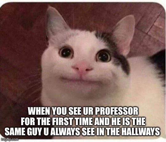 Polite Cat | WHEN YOU SEE UR PROFESSOR FOR THE FIRST TIME AND HE IS THE SAME GUY U ALWAYS SEE IN THE HALLWAYS | image tagged in polite cat | made w/ Imgflip meme maker