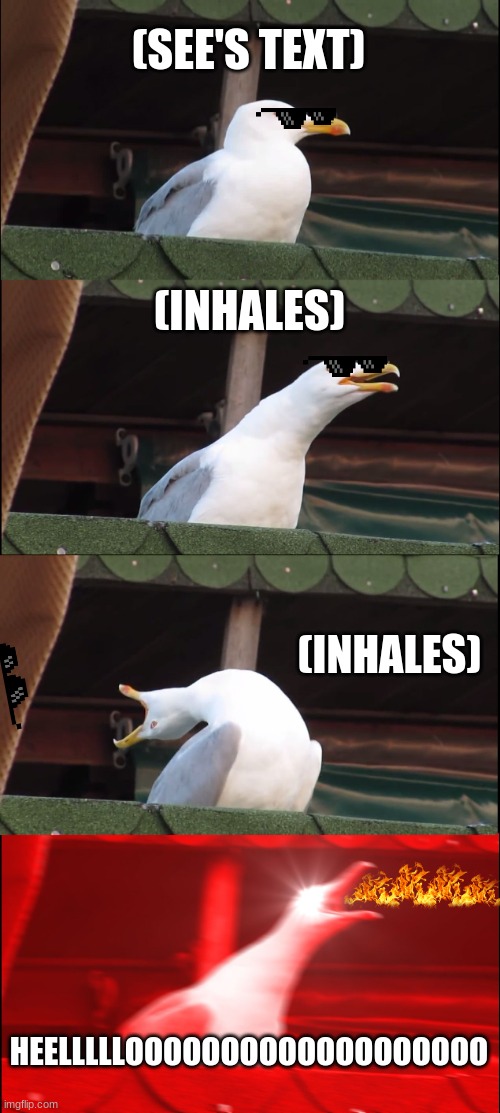 Inhaling Seagull Meme | (SEE'S TEXT) (INHALES) (INHALES) HEELLLLLOOOOOOOOOOOOOOOOOOO | image tagged in memes,inhaling seagull | made w/ Imgflip meme maker