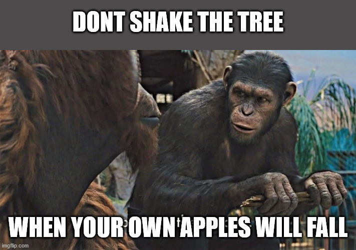There is a time and place for everything, for everyone | DONT SHAKE THE TREE; WHEN YOUR OWN APPLES WILL FALL | image tagged in ape together strong,stop | made w/ Imgflip meme maker