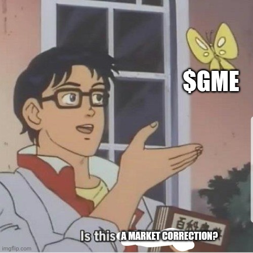 GME market correction | $GME; A MARKET CORRECTION? | image tagged in butterfly man | made w/ Imgflip meme maker