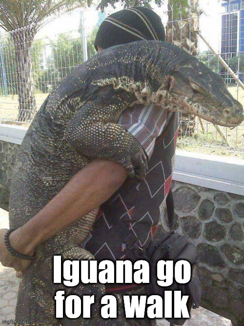image tagged in eyeroll | made w/ Imgflip meme maker