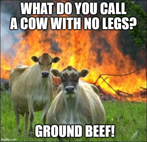 Evil Cows | WHAT DO YOU CALL A COW WITH NO LEGS? GROUND BEEF! | image tagged in memes,evil cows,eyeroll | made w/ Imgflip meme maker