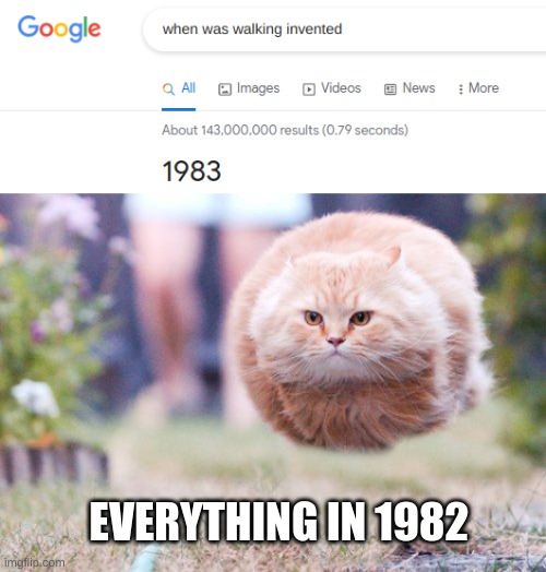 EVERYTHING IN 1982 | image tagged in hover cat | made w/ Imgflip meme maker