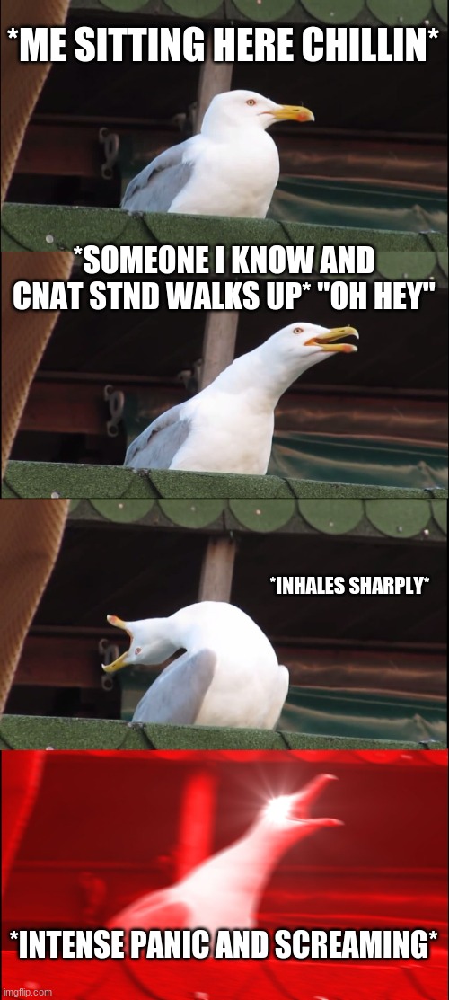 i dissapoint myself lmfao | *ME SITTING HERE CHILLIN*; *SOMEONE I KNOW AND CNAT STND WALKS UP* "OH HEY"; *INHALES SHARPLY*; *INTENSE PANIC AND SCREAMING* | image tagged in memes,inhaling seagull | made w/ Imgflip meme maker