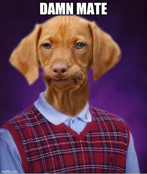 Bad Luck Raydog | DAMN MATE | image tagged in bad luck raydog | made w/ Imgflip meme maker