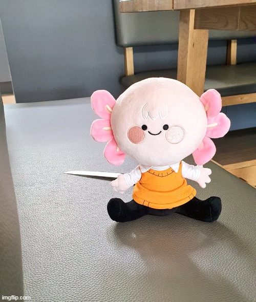 I would buy that chiffon plushie if i wasn't poor ;w; | made w/ Imgflip meme maker