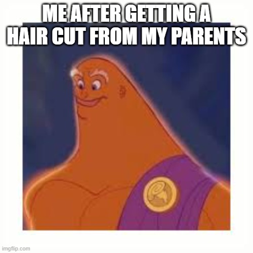 me after getting a haircut from my parents | ME AFTER GETTING A HAIR CUT FROM MY PARENTS | image tagged in zeus without hair | made w/ Imgflip meme maker