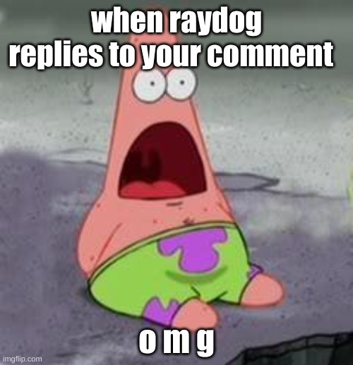 raydog | when raydog replies to your comment; o m g | image tagged in suprised patrick | made w/ Imgflip meme maker