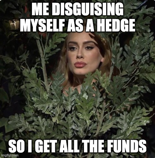 hedge funding | ME DISGUISING MYSELF AS A HEDGE; SO I GET ALL THE FUNDS | image tagged in adele,hedge funds,stonks,money,money money,politics | made w/ Imgflip meme maker