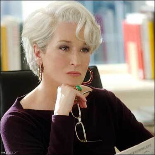 Dissaproving Miranda Priestley | image tagged in dissaproving miranda priestley | made w/ Imgflip meme maker