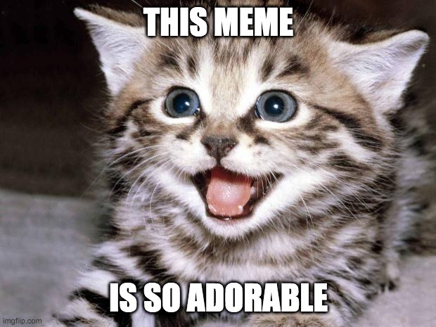 Uber Cute Cat | THIS MEME IS SO ADORABLE | image tagged in uber cute cat | made w/ Imgflip meme maker