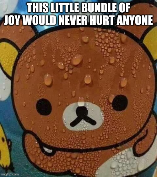 awwww | THIS LITTLE BUNDLE OF JOY WOULD NEVER HURT ANYONE | image tagged in sweat bear | made w/ Imgflip meme maker