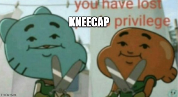 You have lost pp privilege | KNEECAP | image tagged in you have lost pp privilege | made w/ Imgflip meme maker