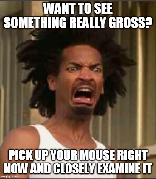 Grossed out | WANT TO SEE SOMETHING REALLY GROSS? PICK UP YOUR MOUSE RIGHT NOW AND CLOSELY EXAMINE IT | image tagged in grossed out,mouse,mice,computers,gross,technology | made w/ Imgflip meme maker