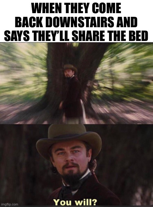 You will? Leonardo, django | WHEN THEY COME BACK DOWNSTAIRS AND SAYS THEY’LL SHARE THE BED | image tagged in you will leonardo django | made w/ Imgflip meme maker