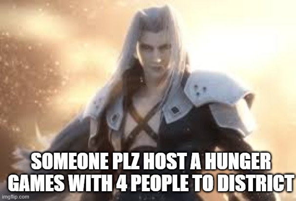 SOMEONE PLZ HOST A HUNGER GAMES WITH 4 PEOPLE TO DISTRICT | made w/ Imgflip meme maker
