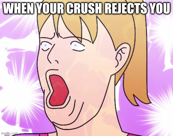 WHEN YOUR CRUSH REJECTS YOU | image tagged in funny | made w/ Imgflip meme maker