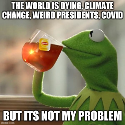 oof | THE WORLD IS DYING, CLIMATE CHANGE, WEIRD PRESIDENTS, COVID; BUT ITS NOT MY PROBLEM | image tagged in memes,but that's none of my business,kermit the frog | made w/ Imgflip meme maker