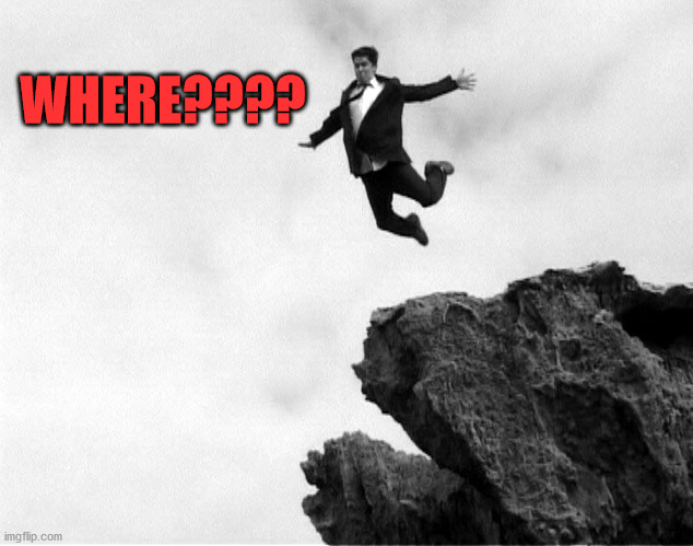 Man Jumping Off a Cliff | WHERE???? | image tagged in man jumping off a cliff | made w/ Imgflip meme maker