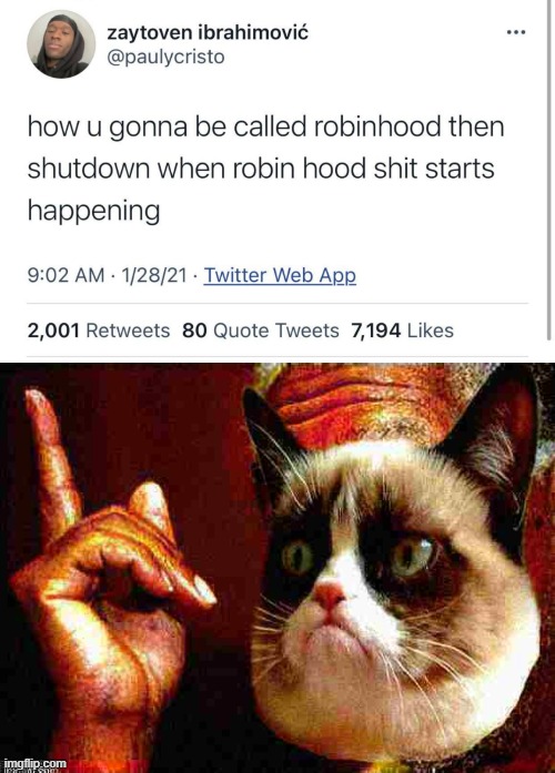 no no he's got a point | image tagged in robinhood,morgan freeman cat he's right you know deep-fried 1,no no he's got a point,robin hood,stock market,stock crash | made w/ Imgflip meme maker
