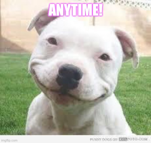 Happy Friday Puppy | ANYTIME! | image tagged in happy friday puppy | made w/ Imgflip meme maker