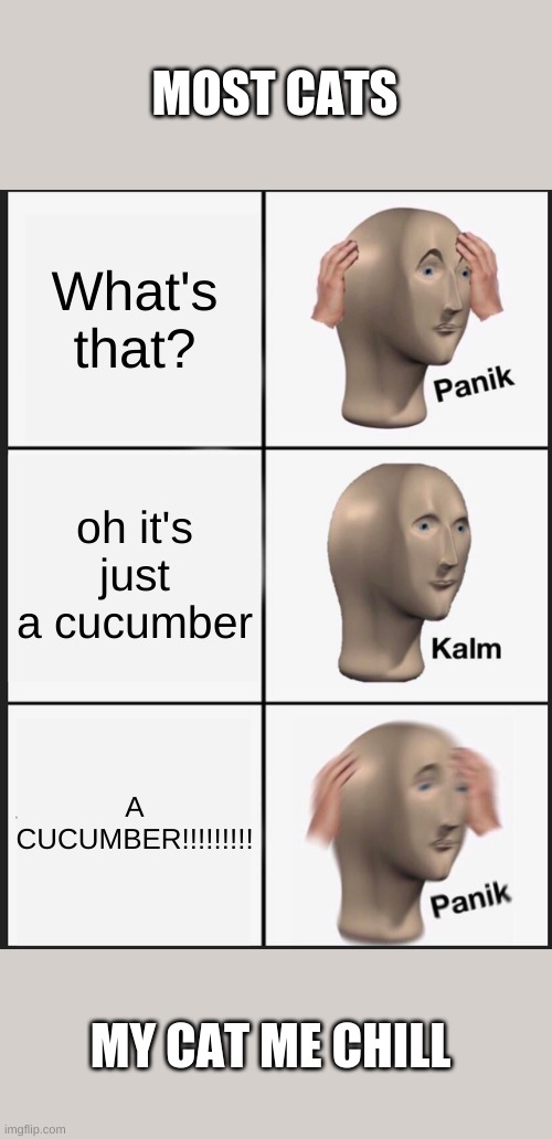 Panik Kalm Panik | MOST CATS; What's that? oh it's just a cucumber; A CUCUMBER!!!!!!!!! MY CAT ME CHILL | image tagged in memes,panik kalm panik | made w/ Imgflip meme maker