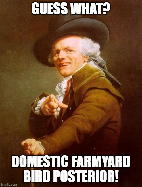 Joseph Ducreux Meme | GUESS WHAT? DOMESTIC FARMYARD BIRD POSTERIOR! | image tagged in memes,joseph ducreux | made w/ Imgflip meme maker