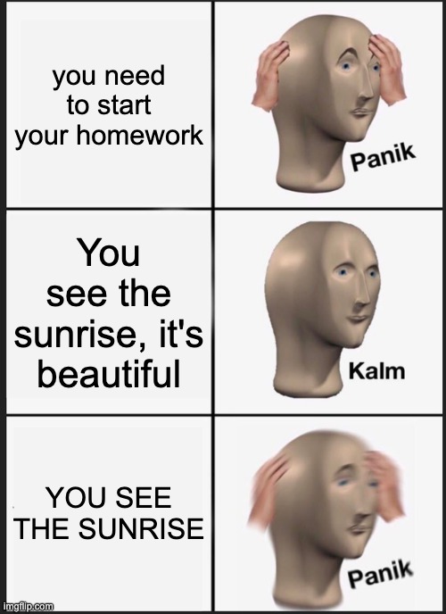 HomeWork | you need to start your homework; You see the sunrise, it's beautiful; YOU SEE THE SUNRISE | image tagged in memes,panik kalm panik | made w/ Imgflip meme maker