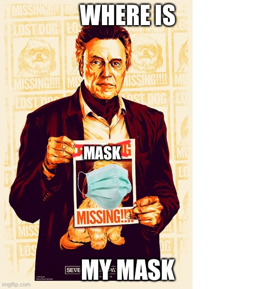 I need my mask | WHERE IS; MASK; MY MASK | image tagged in raydog missing | made w/ Imgflip meme maker