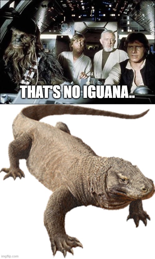 THAT'S NO IGUANA.. | image tagged in that's no moon,komodo dragon | made w/ Imgflip meme maker