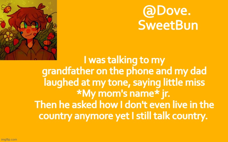 Another template | I was talking to my grandfather on the phone and my dad laughed at my tone, saying little miss *My mom's name* jr. 
Then he asked how I don't even live in the country anymore yet I still talk country. | image tagged in another template | made w/ Imgflip meme maker