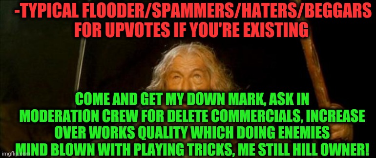 -Any wisdom, trust. | -TYPICAL FLOODER/SPAMMERS/HATERS/BEGGARS FOR UPVOTES IF YOU'RE EXISTING; COME AND GET MY DOWN MARK, ASK IN MODERATION CREW FOR DELETE COMMERCIALS, INCREASE OVER WORKS QUALITY WHICH DOING ENEMIES MIND BLOWN WITH PLAYING TRICKS, ME STILL HILL OWNER! | image tagged in gandalf you shall not pass,haters gonna hate,spammers,upvote beggars,flooding thumbs up,fantasy painting | made w/ Imgflip meme maker
