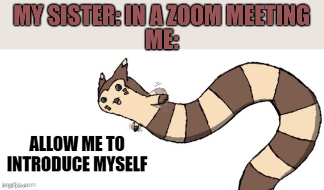 I do this to her every day rofl | MY SISTER: IN A ZOOM MEETING; ME: | image tagged in furret allow me to introduce myself | made w/ Imgflip meme maker