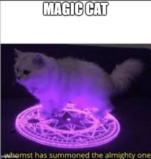 Magic cat | MAGIC CAT | image tagged in whomst has summoned the almighty one | made w/ Imgflip meme maker