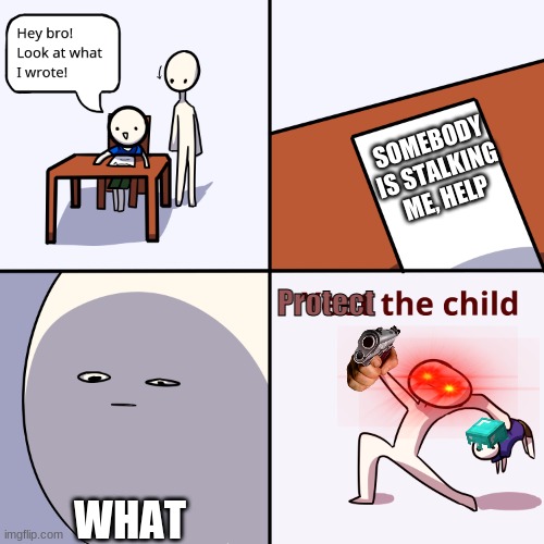 Protect the child | SOMEBODY IS STALKING ME, HELP; Protect; WHAT | image tagged in yeet the child | made w/ Imgflip meme maker