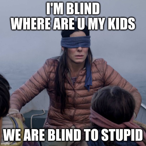 Bird Box | I'M BLIND WHERE ARE U MY KIDS; WE ARE BLIND TO STUPID | image tagged in memes,bird box | made w/ Imgflip meme maker