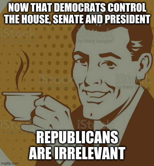 just ignore them and enjoy the progress | NOW THAT DEMOCRATS CONTROL THE HOUSE, SENATE AND PRESIDENT; REPUBLICANS ARE IRRELEVANT | image tagged in mug approval | made w/ Imgflip meme maker