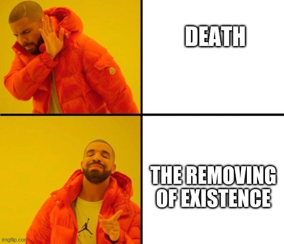 drake meme | DEATH; THE REMOVING OF EXISTENCE | image tagged in drake meme | made w/ Imgflip meme maker