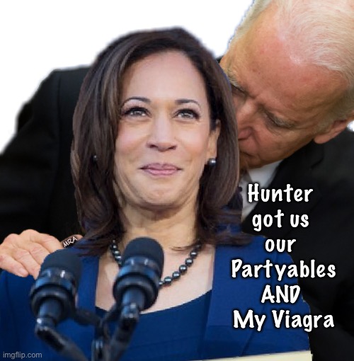 Joe Biden and Kamala Hairs | MRA; Hunter 
got us 
our 
Partyables
AND 
My Viagra | image tagged in joe biden and kamala hairs | made w/ Imgflip meme maker