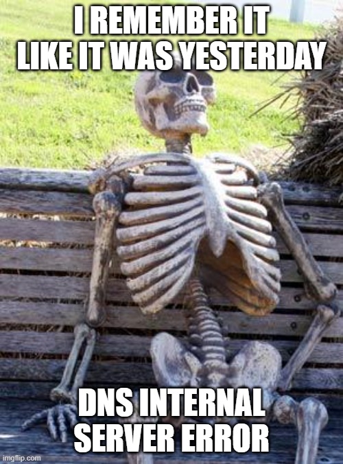 Waiting Skeleton Meme | I REMEMBER IT LIKE IT WAS YESTERDAY; DNS INTERNAL SERVER ERROR | image tagged in memes,waiting skeleton | made w/ Imgflip meme maker