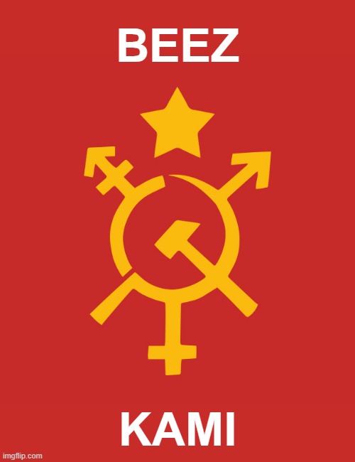 vote beez/kami to give gay luxury robots to everyone | BEEZ; KAMI | image tagged in fully automated luxury gay space communism,luxury,gay,space,communism,lgbtq | made w/ Imgflip meme maker