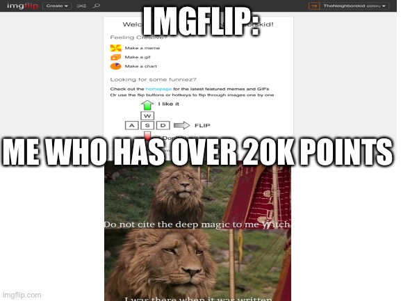 Does imgflip really think I’m an idiot | IMGFLIP:; ME WHO HAS OVER 20K POINTS | made w/ Imgflip meme maker